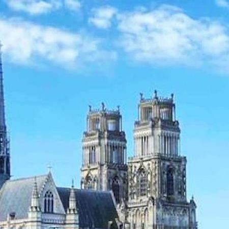 Superbe Appartement En Coeur De Ville ออร์เลออง ภายนอก รูปภาพ
