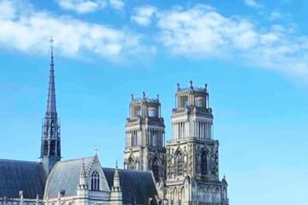 Superbe Appartement En Coeur De Ville ออร์เลออง ภายนอก รูปภาพ
