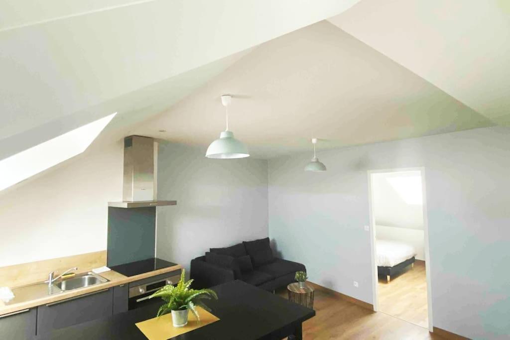 Superbe Appartement En Coeur De Ville ออร์เลออง ภายนอก รูปภาพ