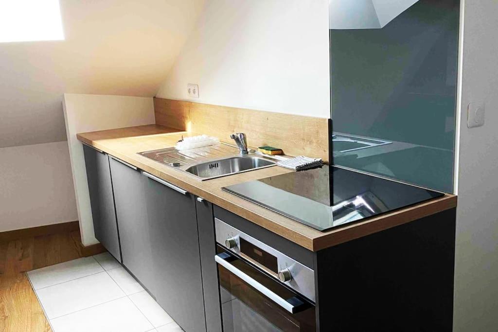 Superbe Appartement En Coeur De Ville ออร์เลออง ภายนอก รูปภาพ